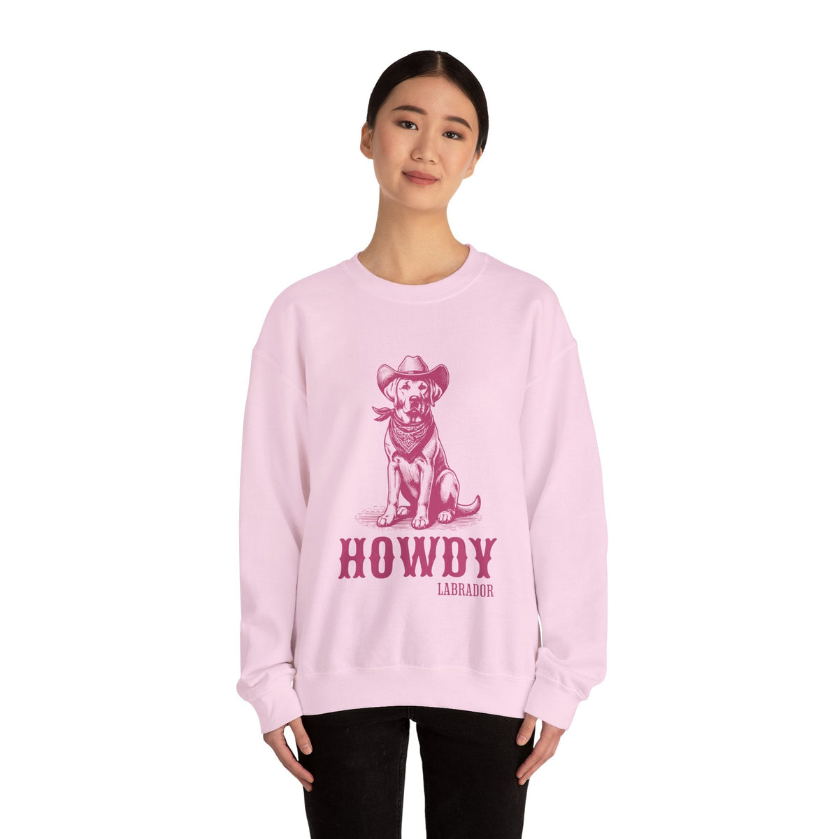 howdy labrador sweater
