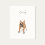 Custom Watercolor One Pet Full Body Portrait