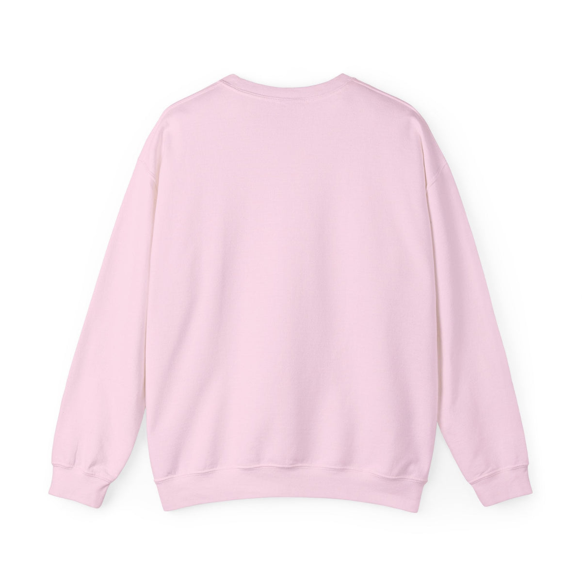 howdy labrador sweater
