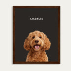 Charcoal - Walnut