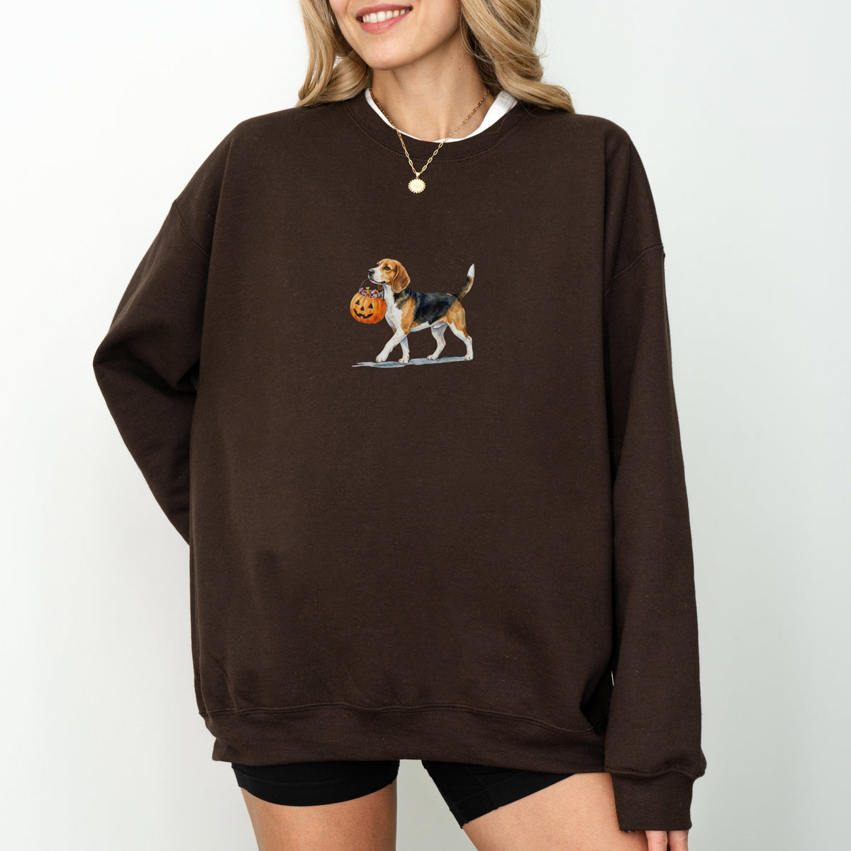 Beagle Halloween Sweatshirt