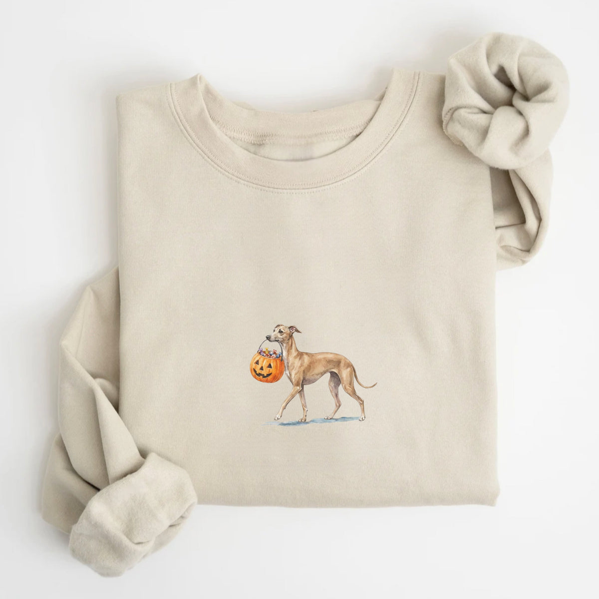 Greyhound Halloween Sweatshirt