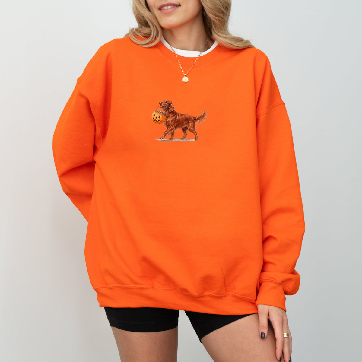 Irish Setter Halloween Sweatshirt