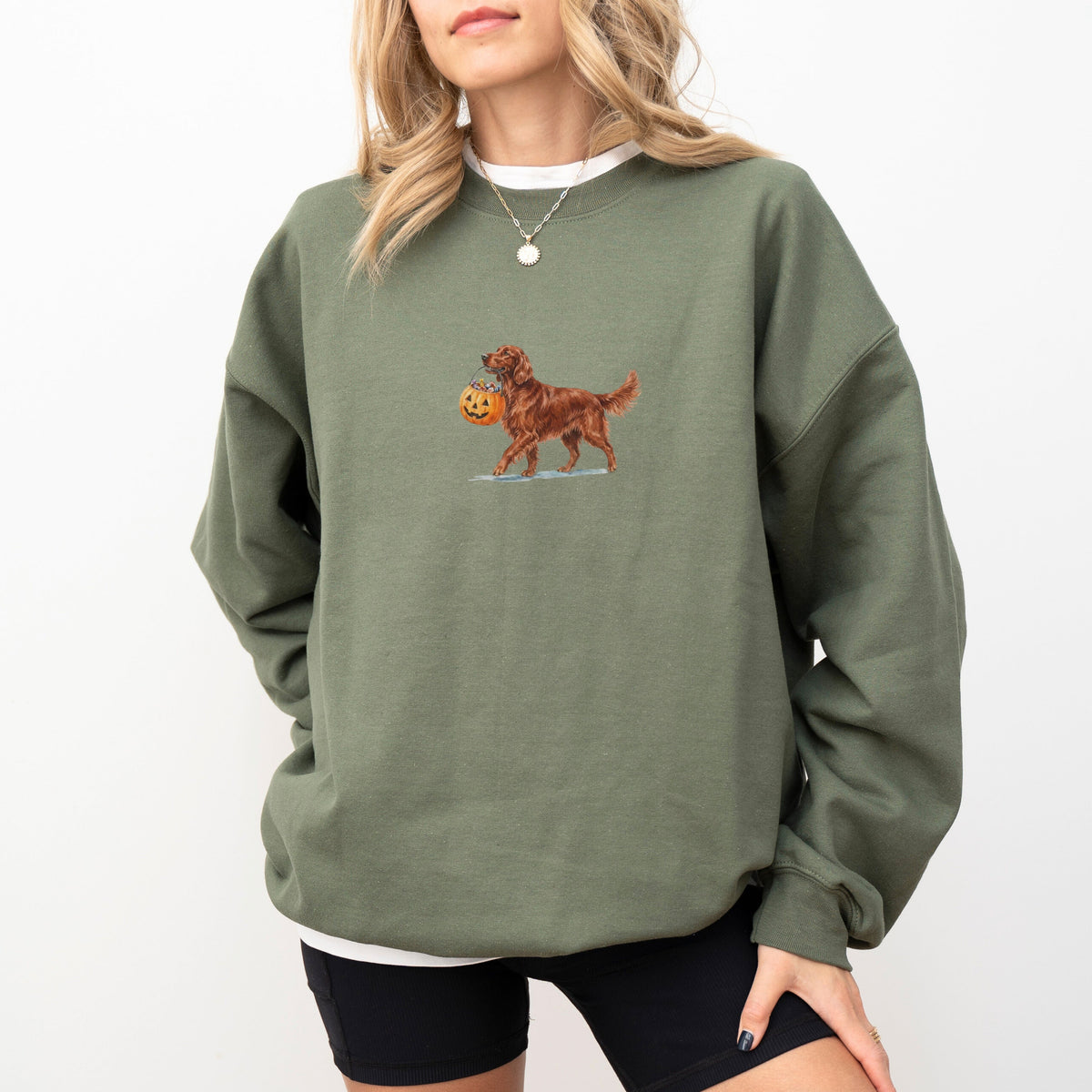 Irish Setter Halloween Sweatshirt