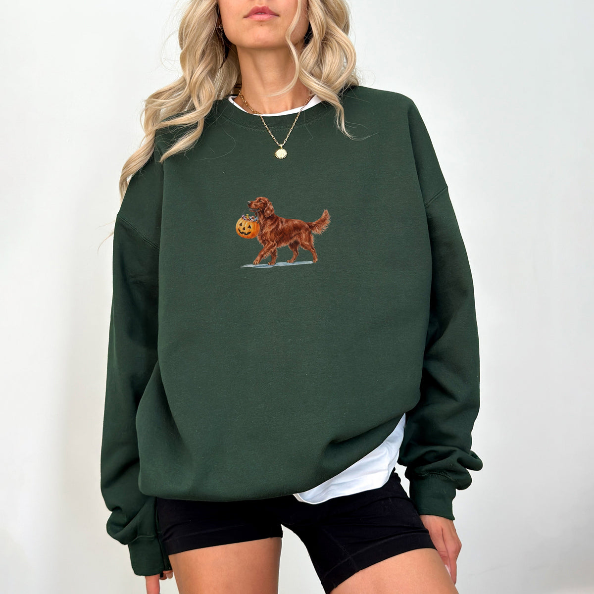 Irish Setter Halloween Sweatshirt
