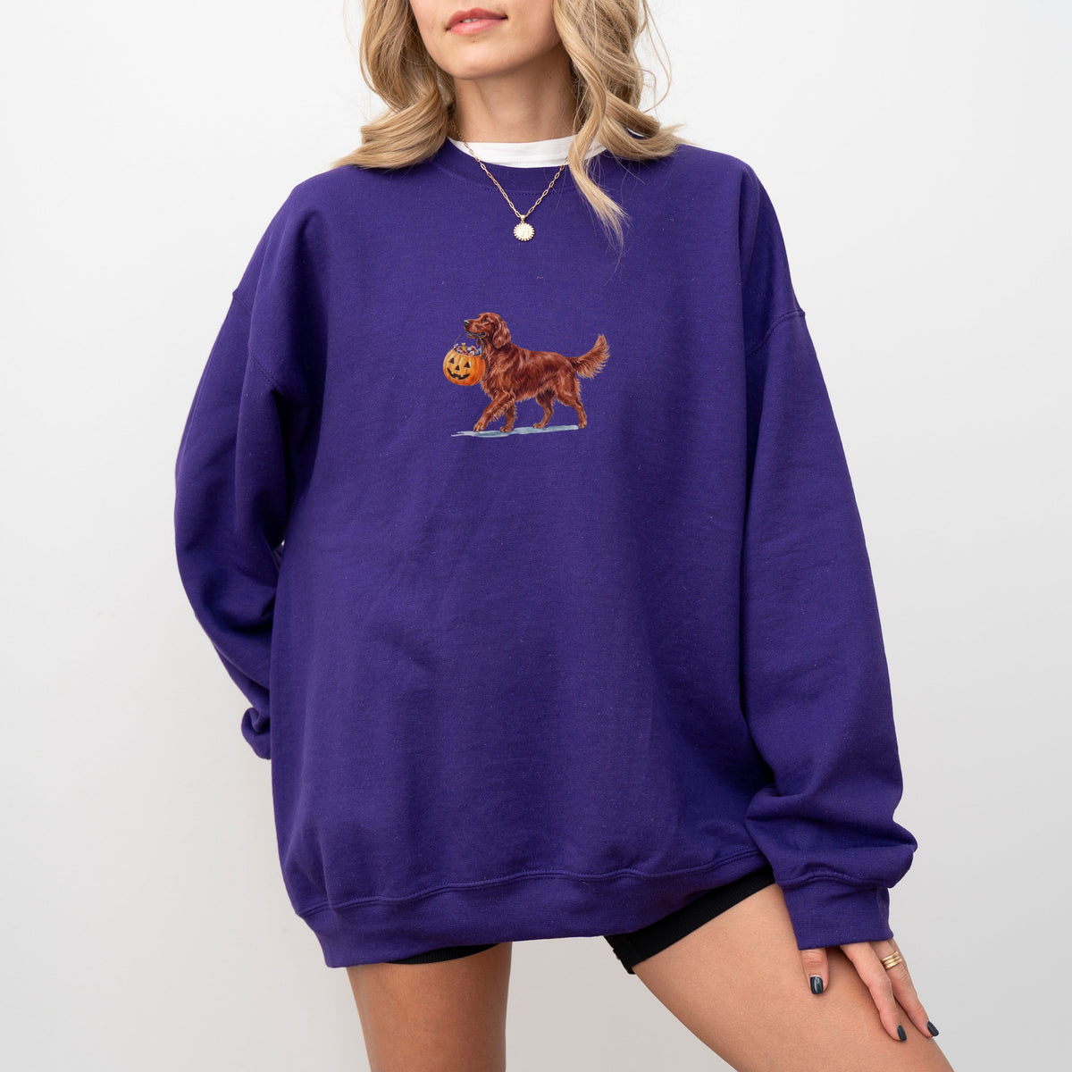 Irish Setter Halloween Sweatshirt