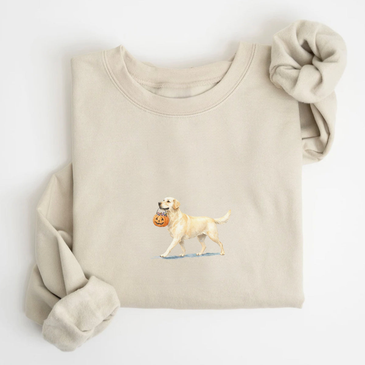 Labrador Halloween Sweatshirt