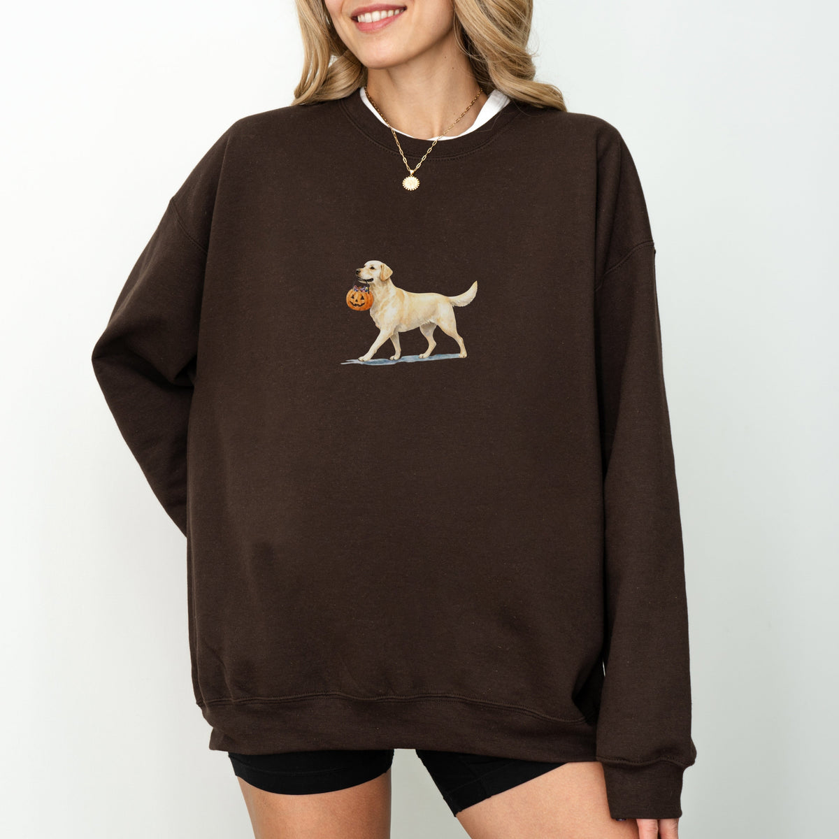 Labrador Halloween Sweatshirt