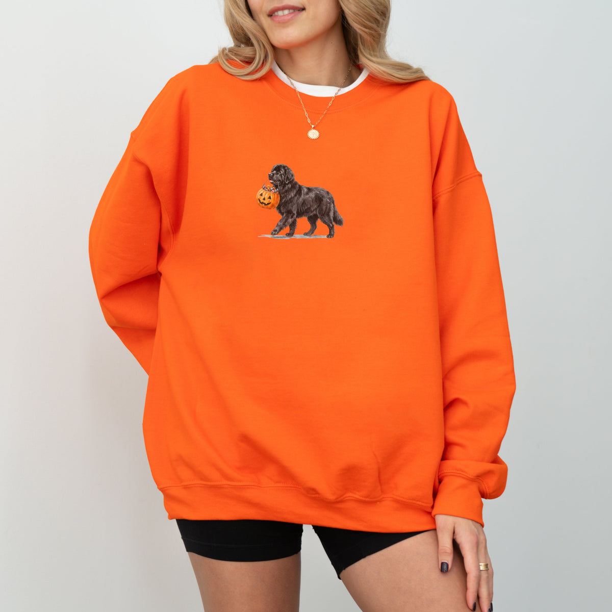 Newfoundland Halloween Sweatshirt