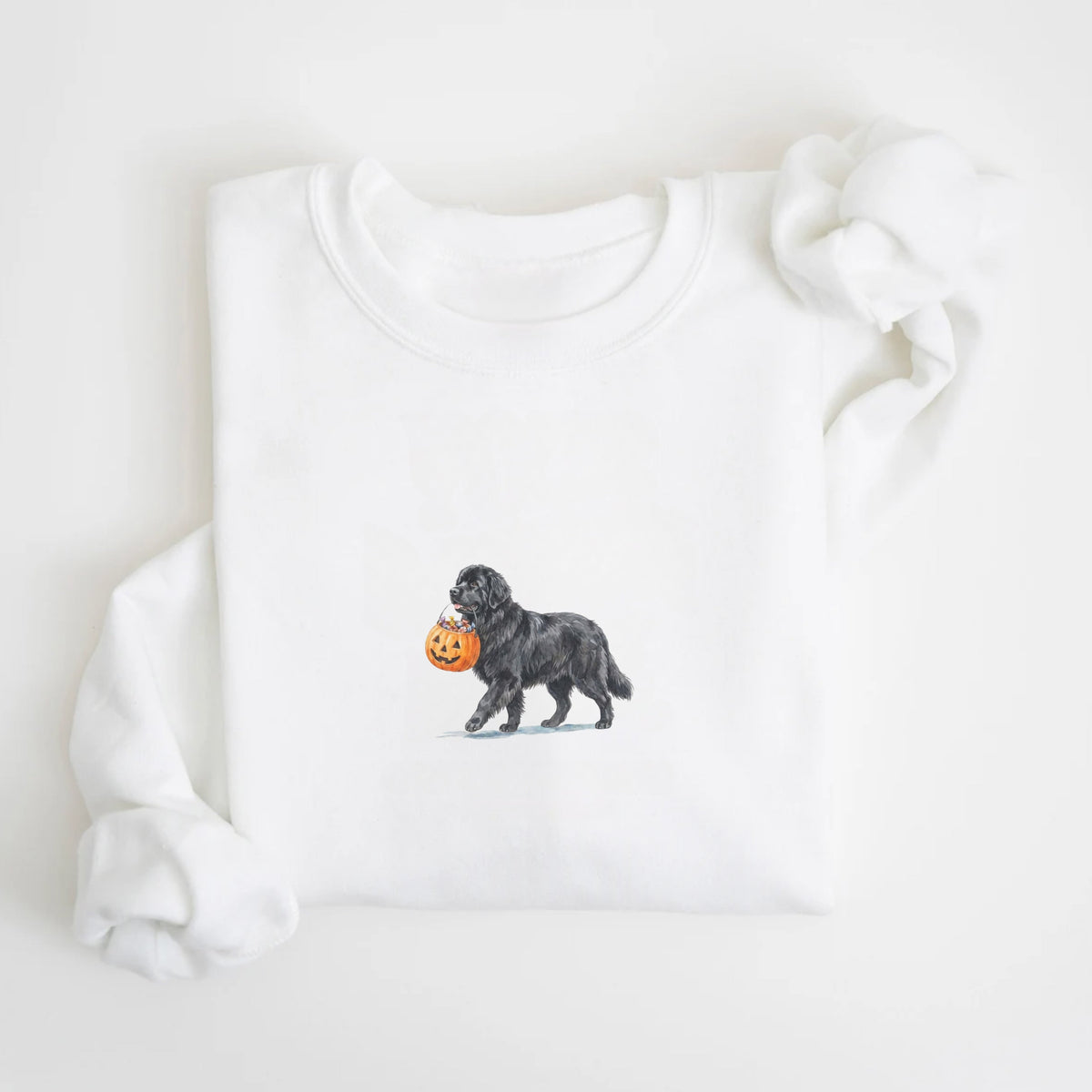 Newfoundland Halloween Sweatshirt