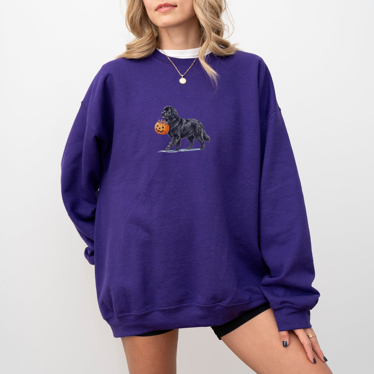 Newfoundland Halloween Sweatshirt