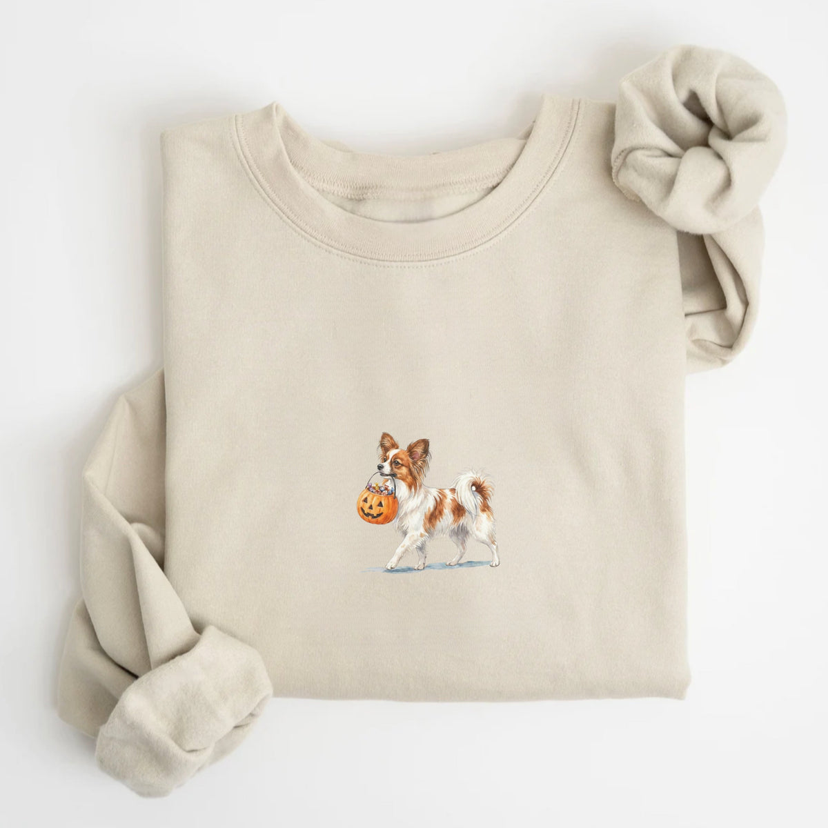 Papillon Halloween Sweatshirt