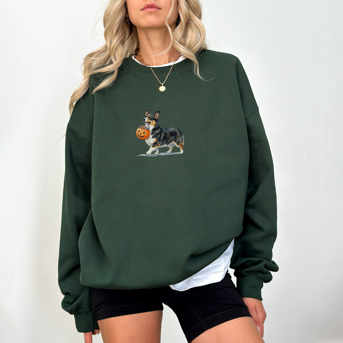 Tri Color Corgi Halloween Sweatshirt